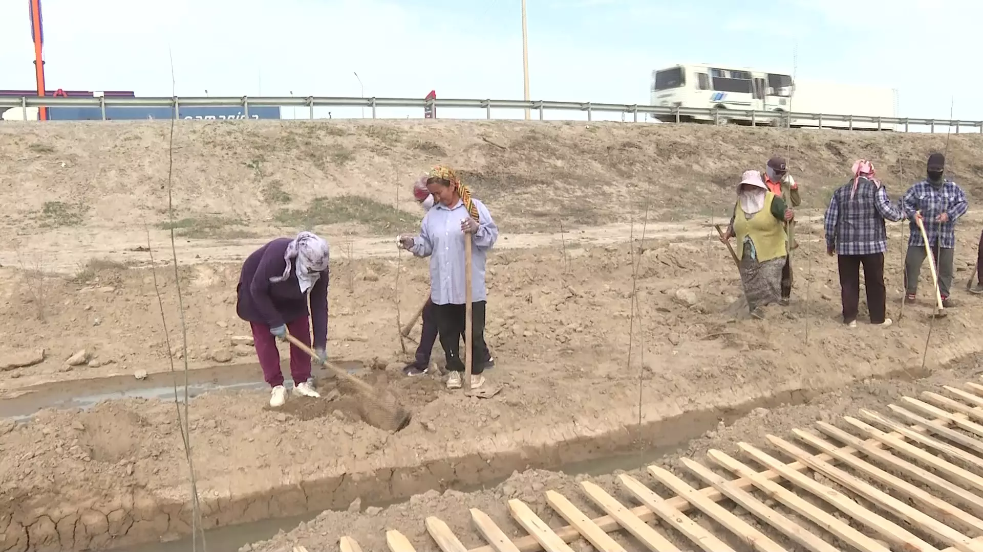 «Таза Қазақстан»: сельчане Кызылординской области посадили более 2 тысяч деревьев