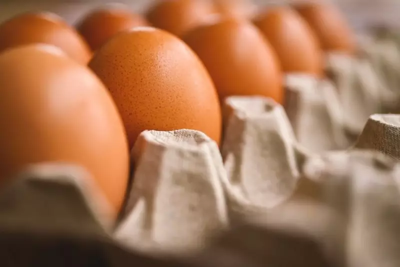 Временный запрет на ввоз куриных яиц вводит Казахстан