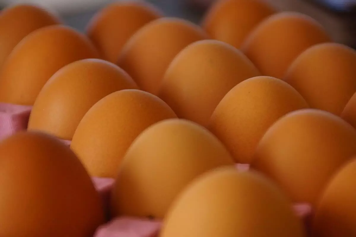 Казахстан запретил ввоз куриных яиц с 1 мая