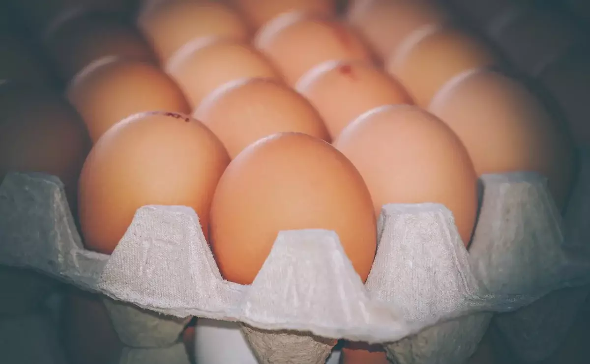 Введен временный запрет на ввоз куриных яиц в Казахстан