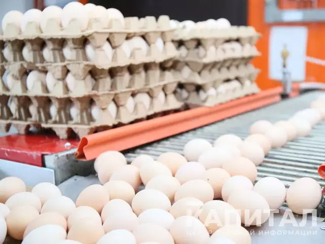 Казахстан на полгода запретит ввоз куриных яиц