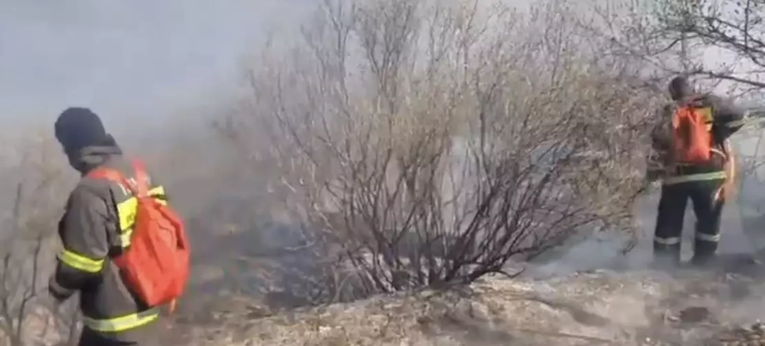 В ВКО пожарные ликвидировали горящую в горах траву