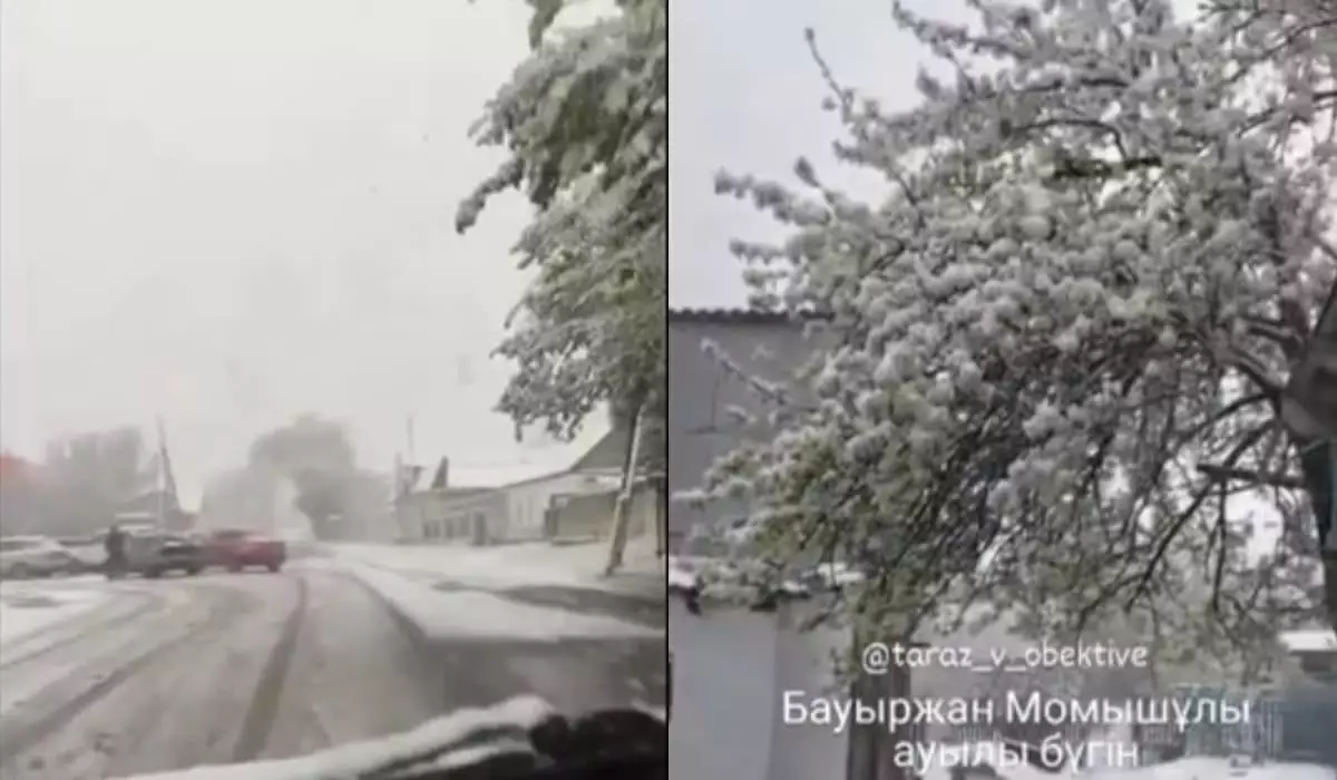 Снег выпал на юге Казахстана (ВИДЕО)