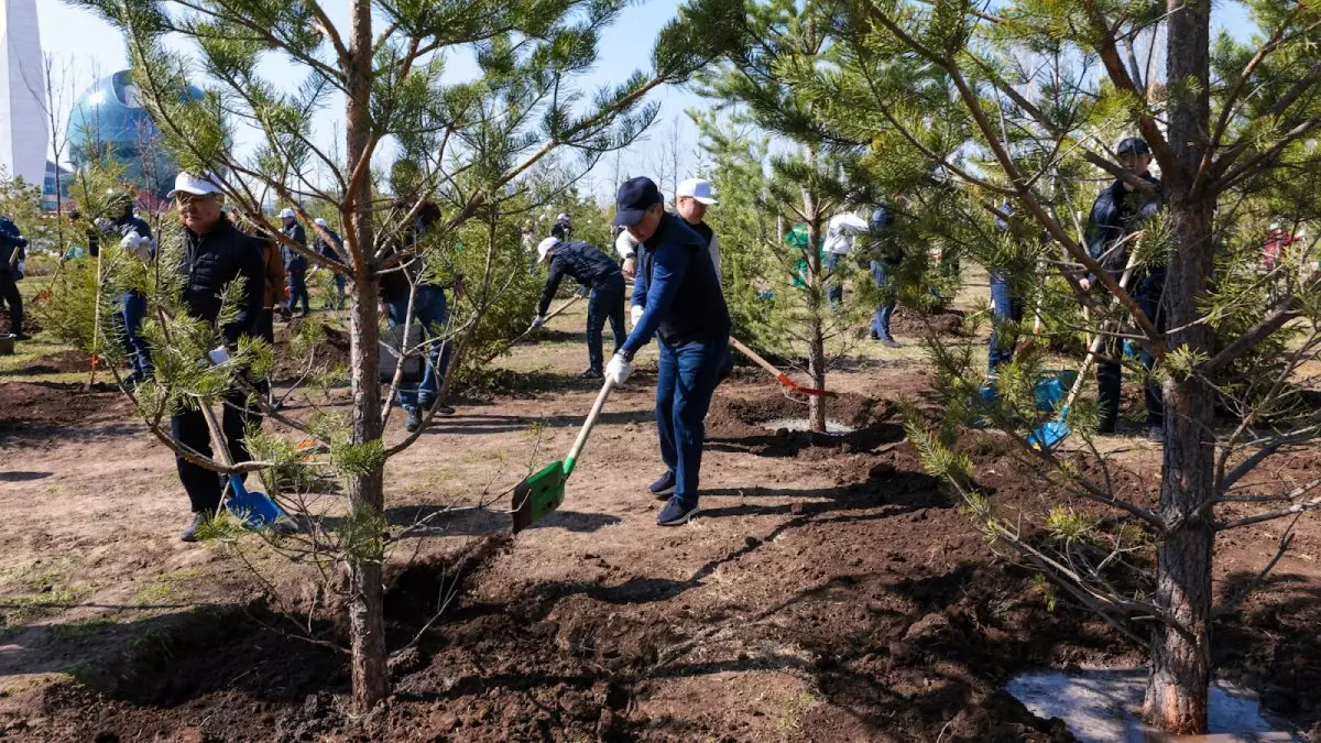 Аппарат Правительства посадил деревья на территории EXPO в Астане