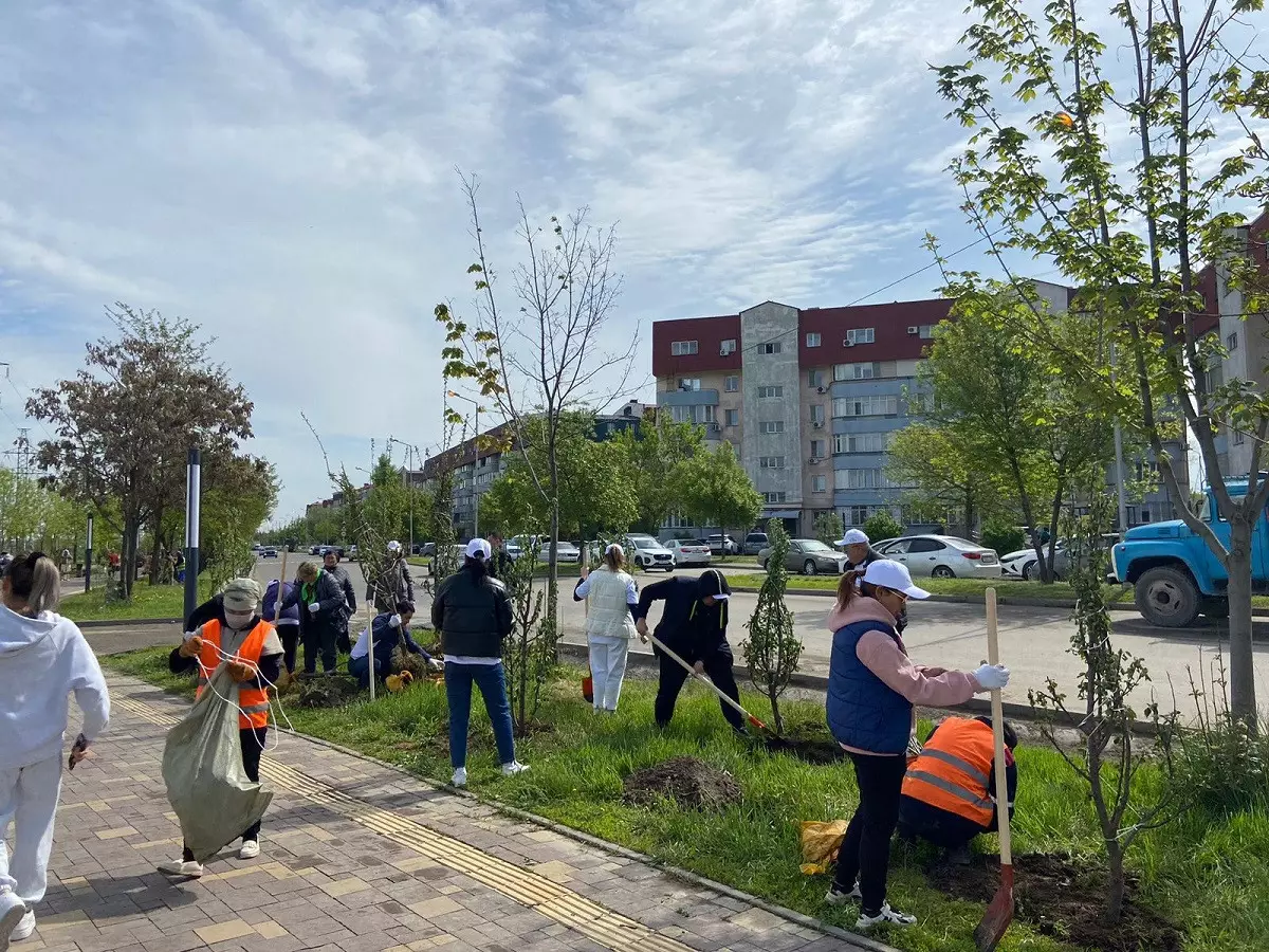 В Алматы знаменитости посадили деревья в рамках республиканской акции «Таза Казахстан»