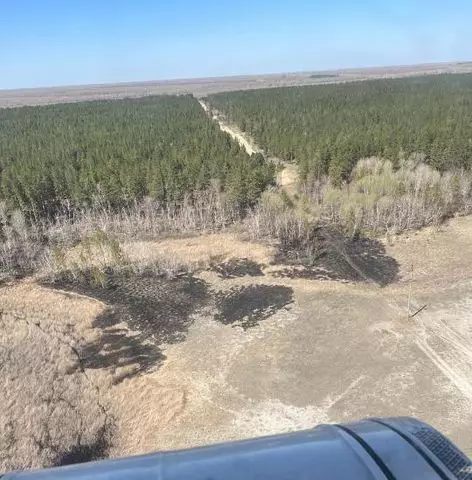 В области Абай два вертолета будут патрулировать леса