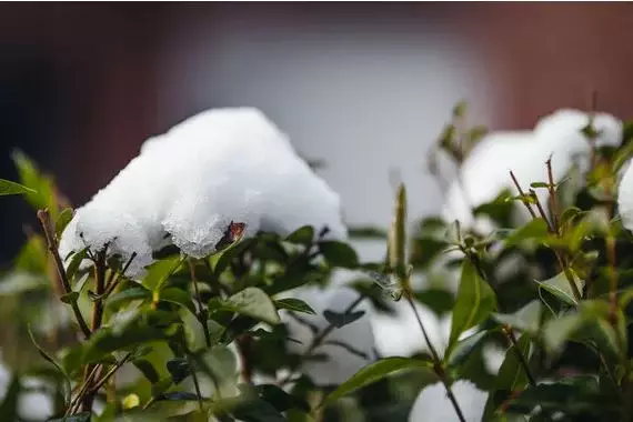 Снег выпал в Жамбылской области