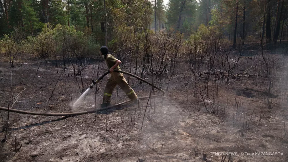 Лесной пожар в области Абай ликвидирован