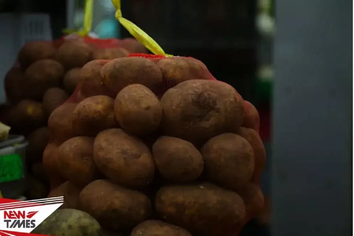 Костанайские фермеры вынуждены снижать цену на картофель