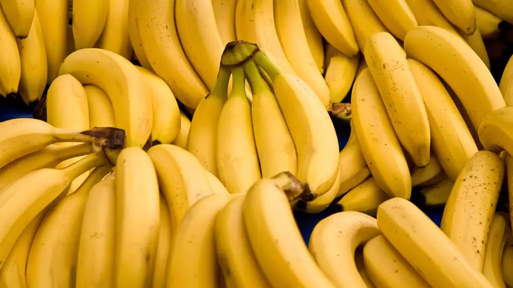 Первый урожай бананов в промышленных масштабах созрел на юге Казахстана