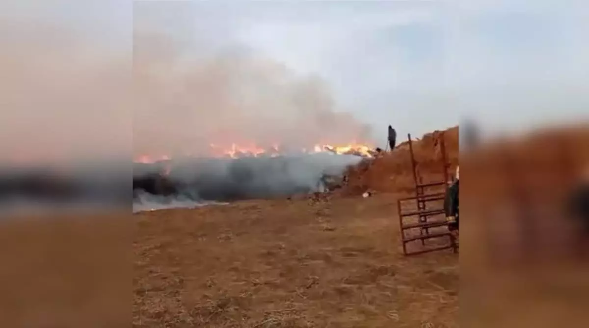 250 тонн сена горит в Атырауской области (ВИДЕО)