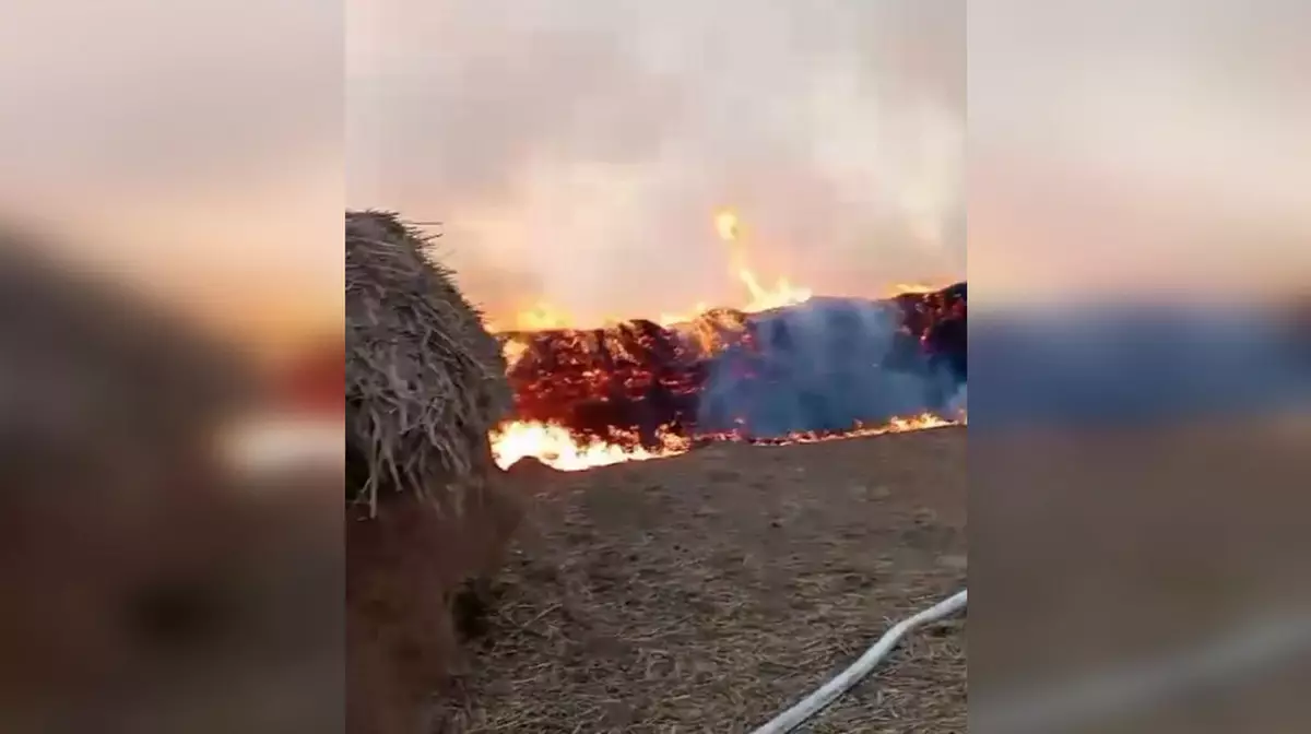 Около 250 тонн сена загорелись в Атырауской области. ВИДЕО