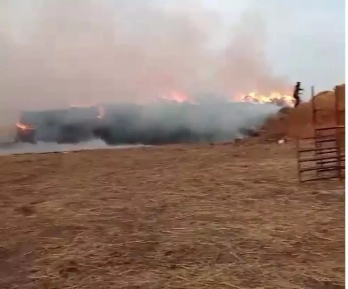 Пожар на сеновале тушат в Атырауской области