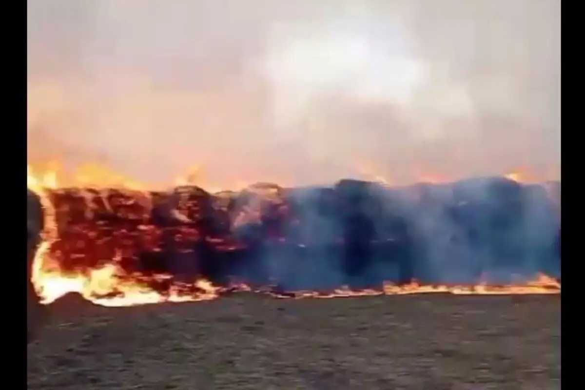 Крупный пожар в Атырауской области: горит почти 250 тонн сена (ВИДЕО)
