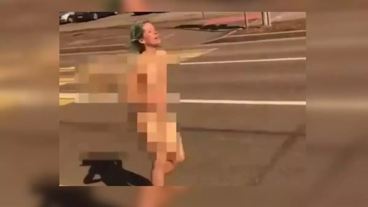 В Петербурге голая девушка прыгнула с моста, убегая от полицейских