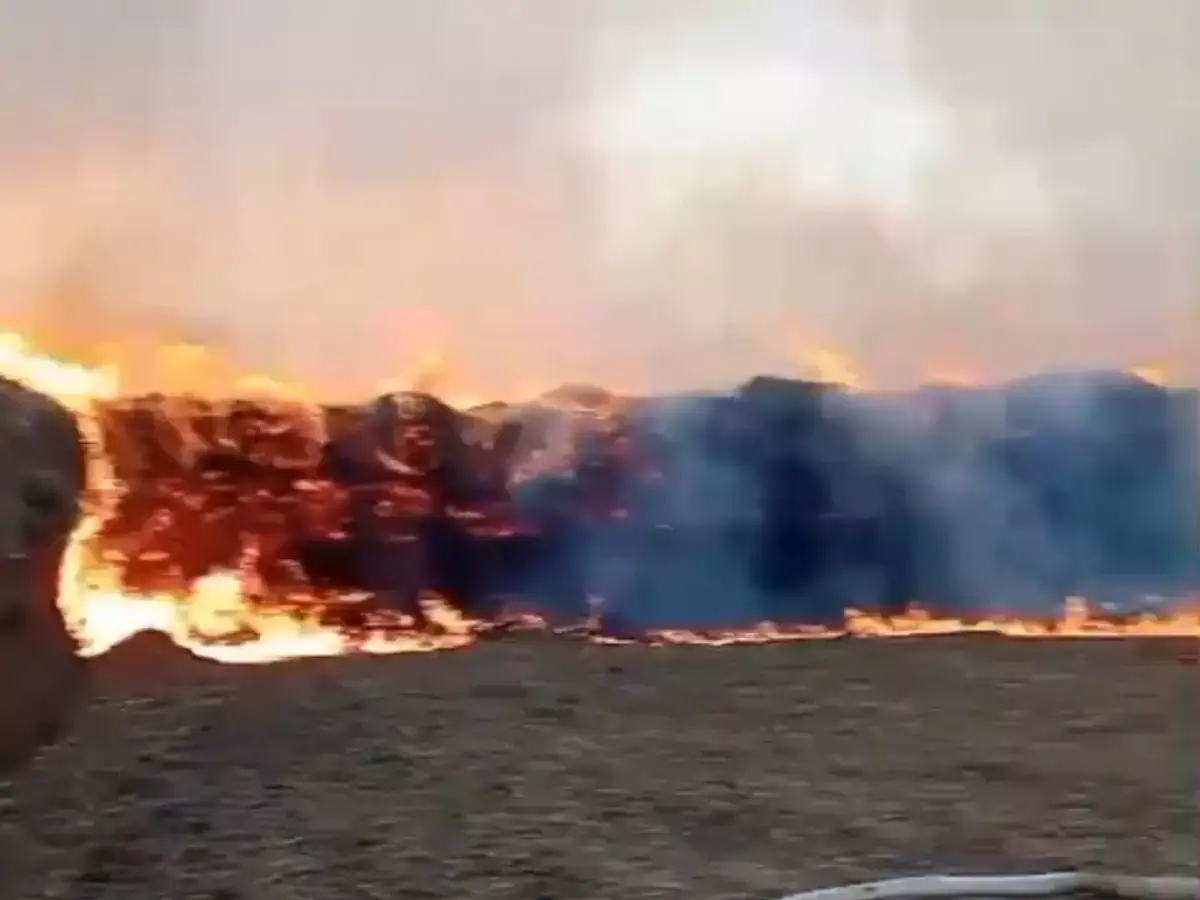 В Атырауской области крупный пожар произошел на складе сена