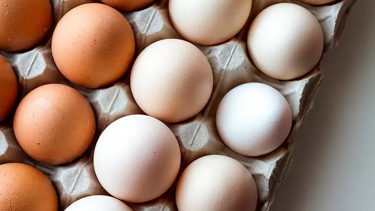 С 1 мая вводится полугодовой запрет на ввоз в Казахстан куриных яиц