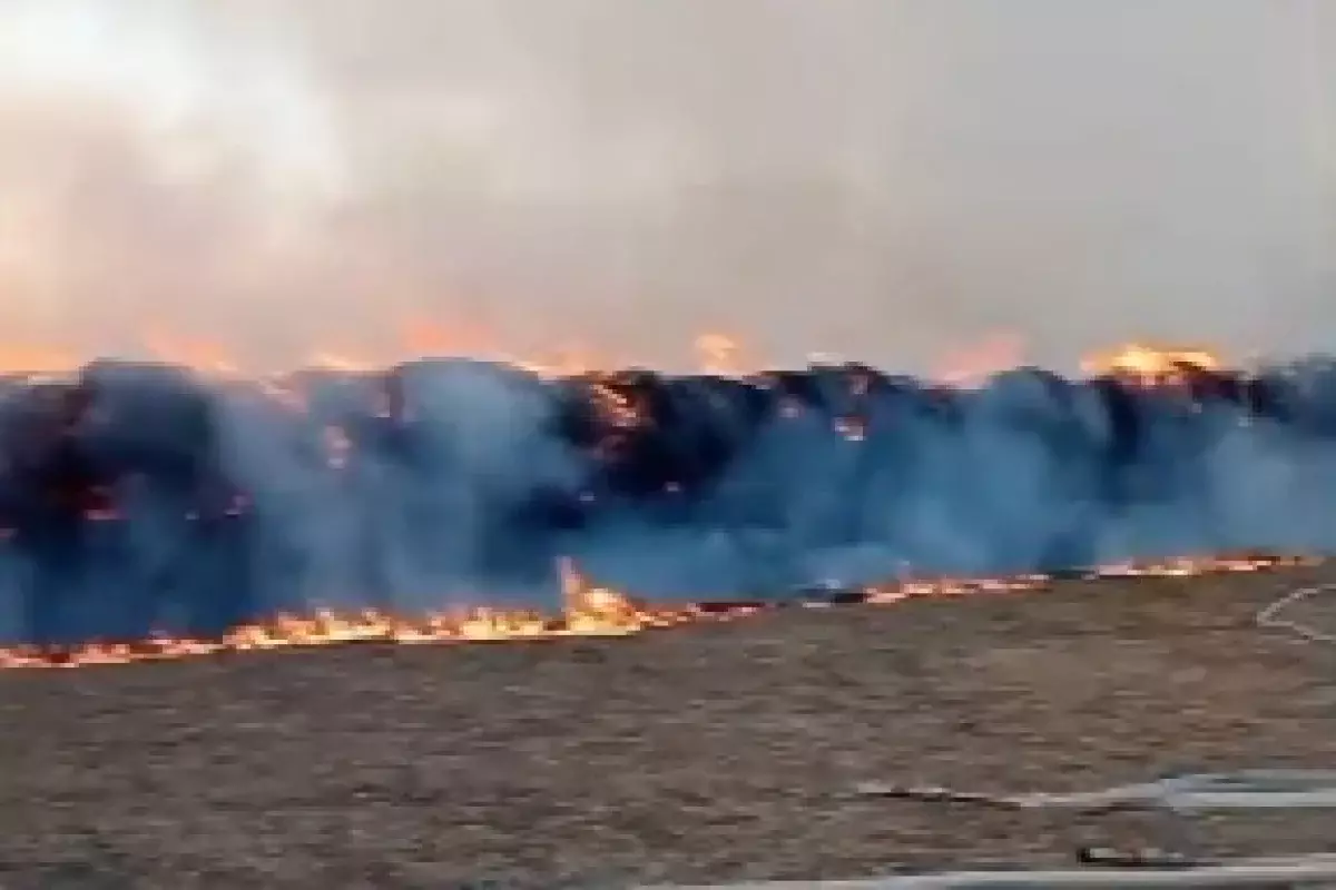 В Атырауской области загорелось 250 тонн сена