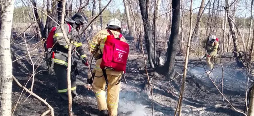 Ликвидирован лесной пожар в области Абай