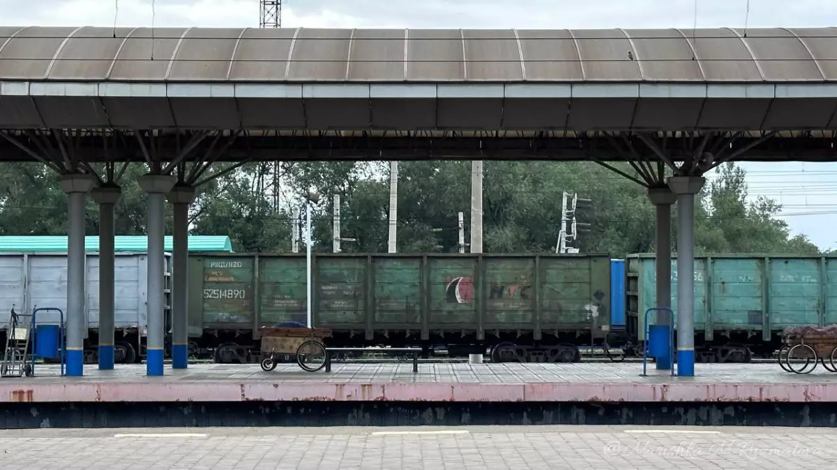 Поезд запустят из Сианя в Алматы