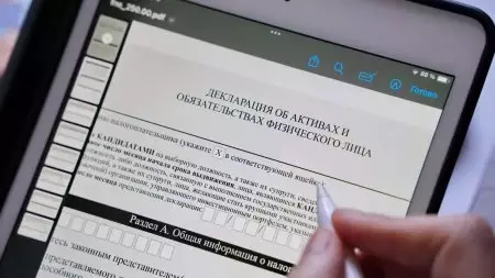 Может ли произойти утечка данных из деклараций казахстанцев