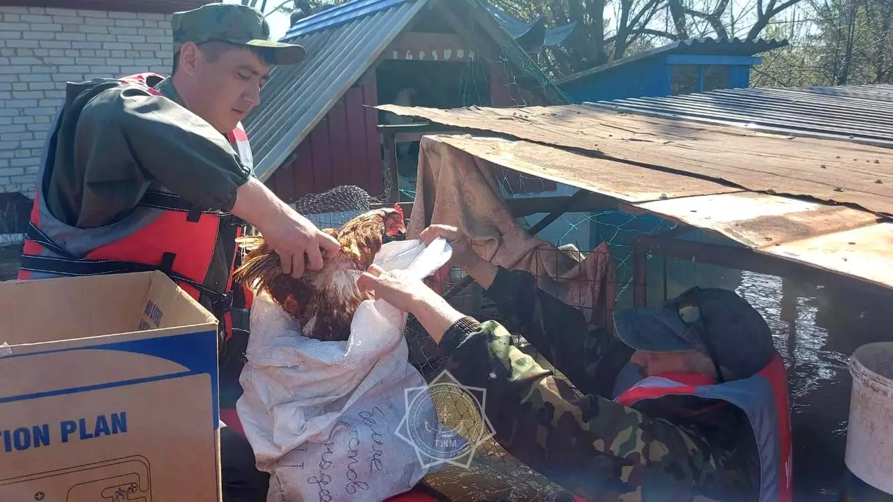 Более 22 тысяч пострадавших от паводка ждут помощи от государства