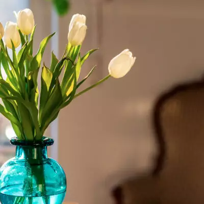 Что положить в вазу, чтобы цветы стояли дольше: секреты флориста
