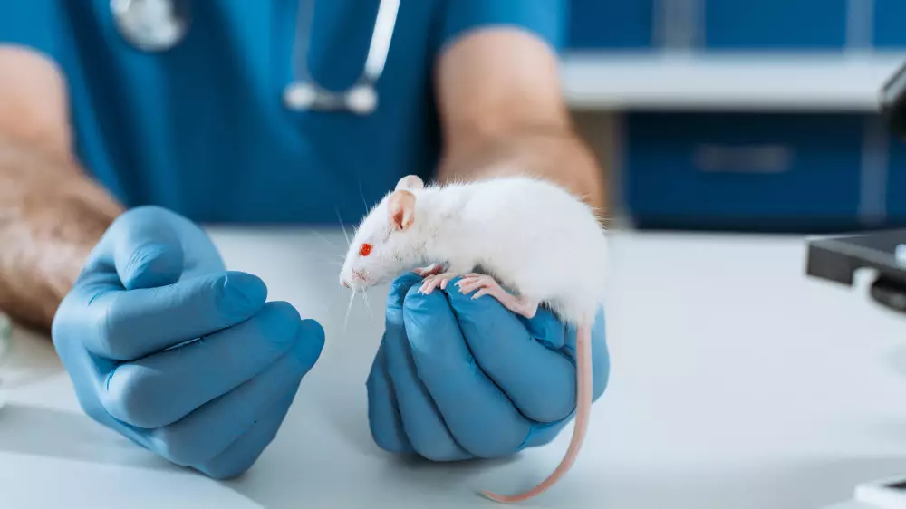 Ученые обратили вспять диабет 1-го типа у мышей