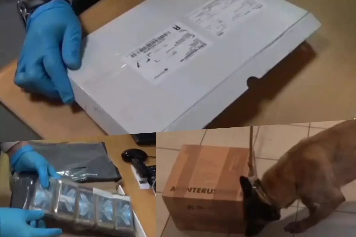 Посылка с сюрпризом: наркотик по почте пытались провезти в Казахстан из Швеции