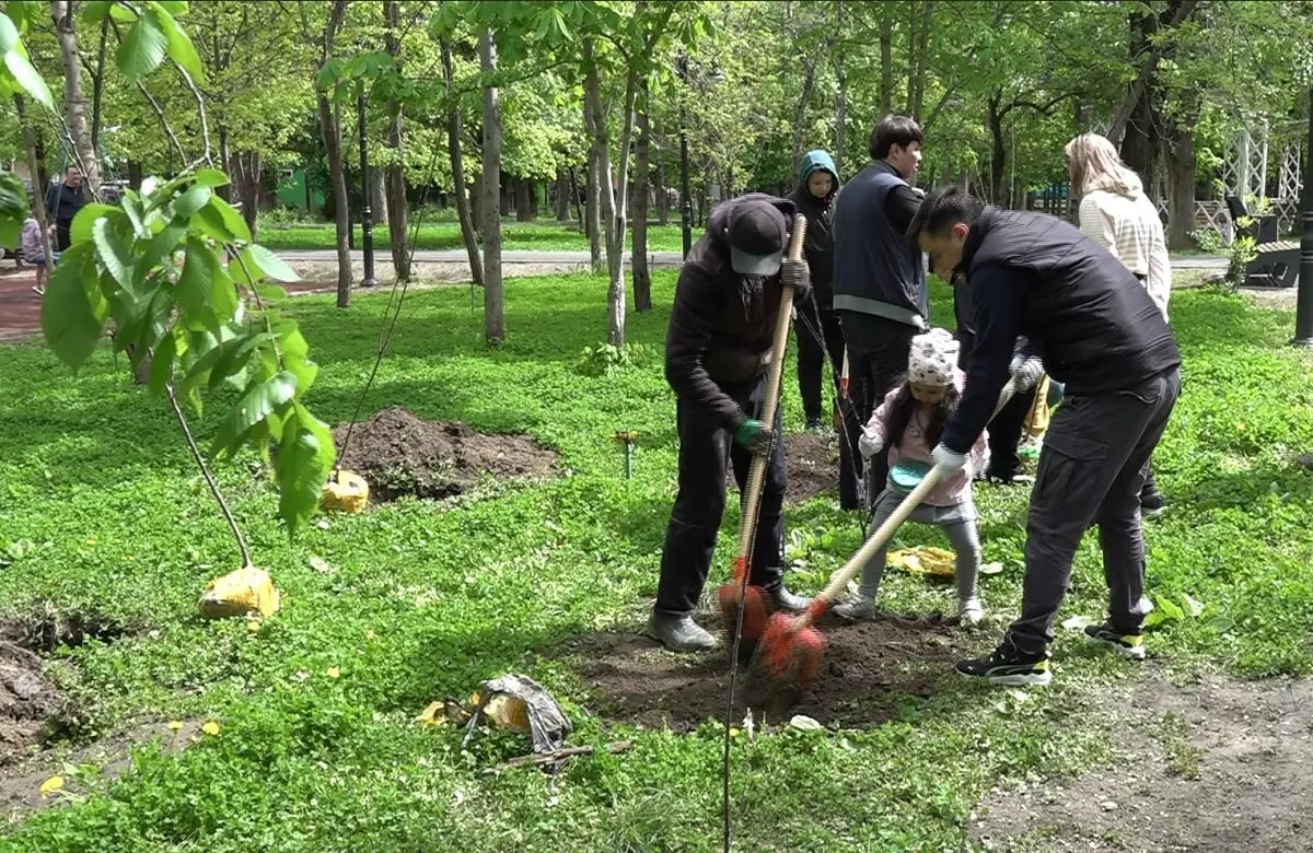 Алматы – город-сад: сотни плодовых деревьев появились в Алмалинском районе