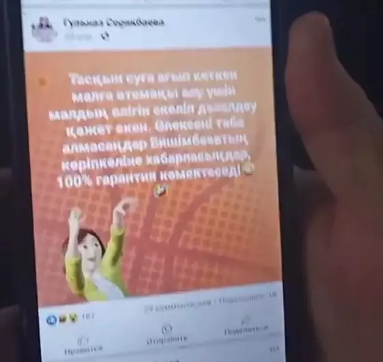 В Кызылорде полиция предъявила активистке обвинение в ложной информации за очевидно шуточный пост о компенсации за утонувший скот