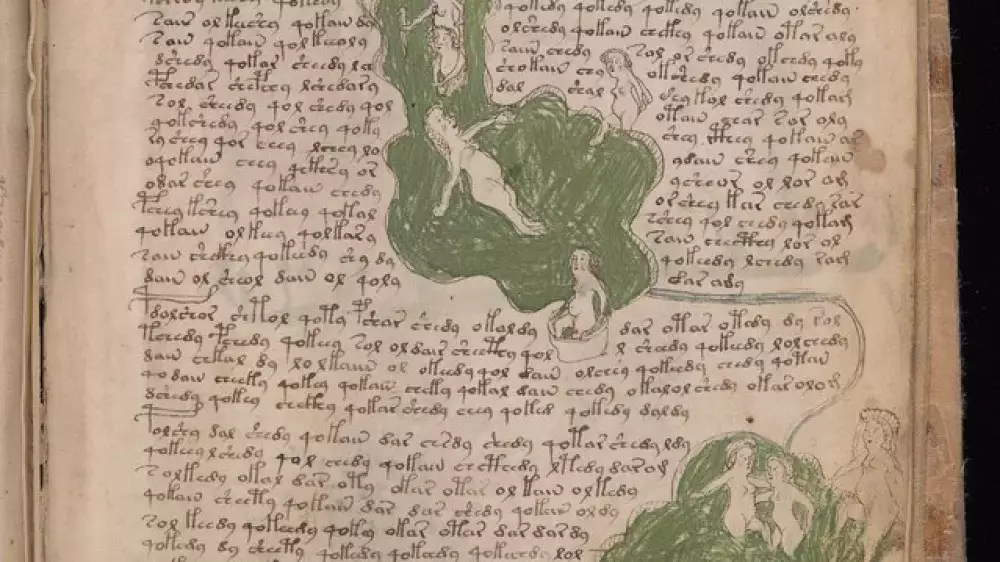 Ученые предложили ключ к разгадке манускрипта Войнича - самой загадочной рукописи в мире