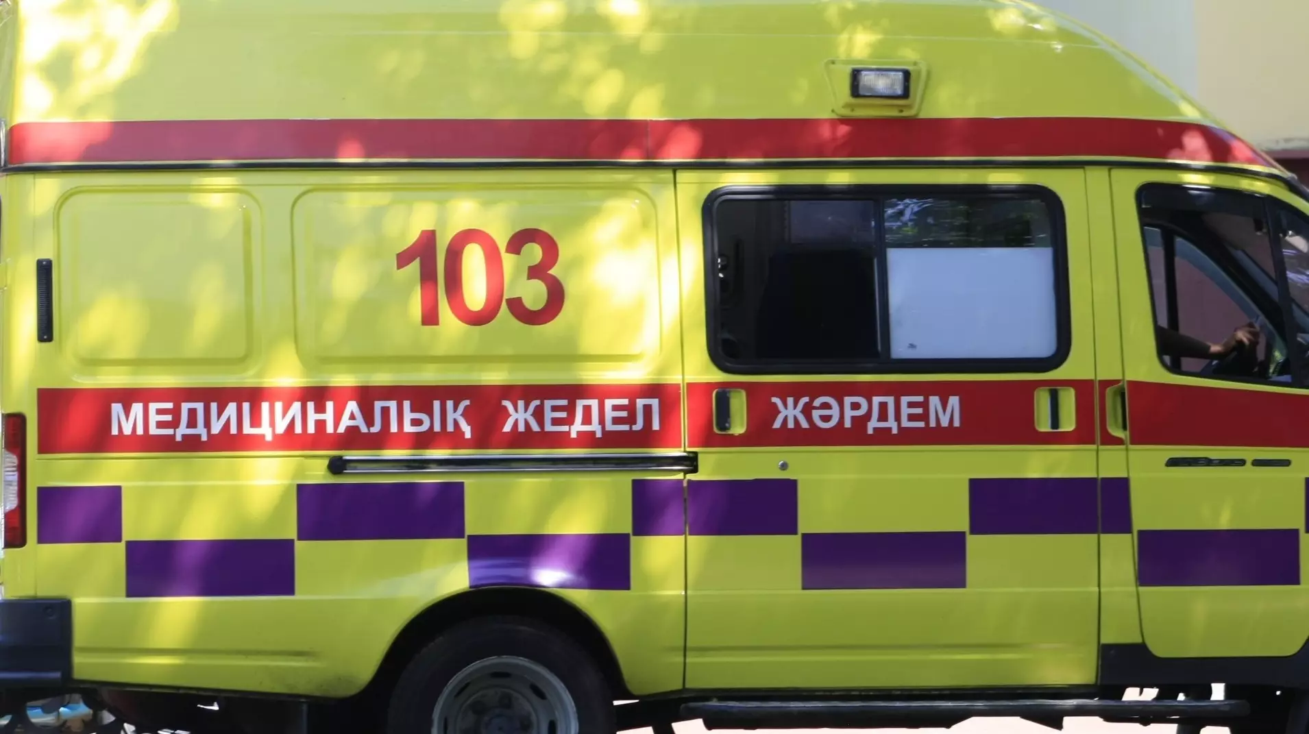 Школьника забили до смерти в уличном туалете в Жамбылской области, подозреваемый задержан