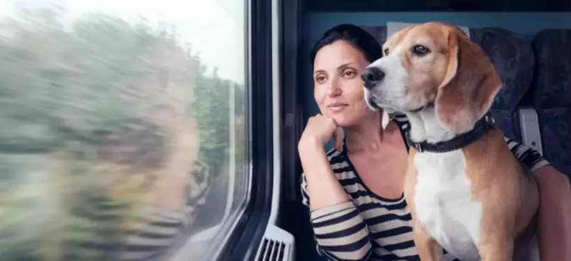 Казахстанцам напомнили о правилах перевозки домашних животных в поездах
