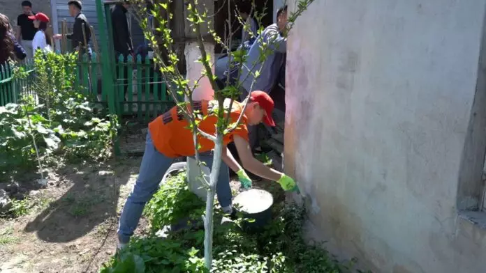 Вернуть былую славу зеленого города: субботники в Шымкенте станут обязательными
