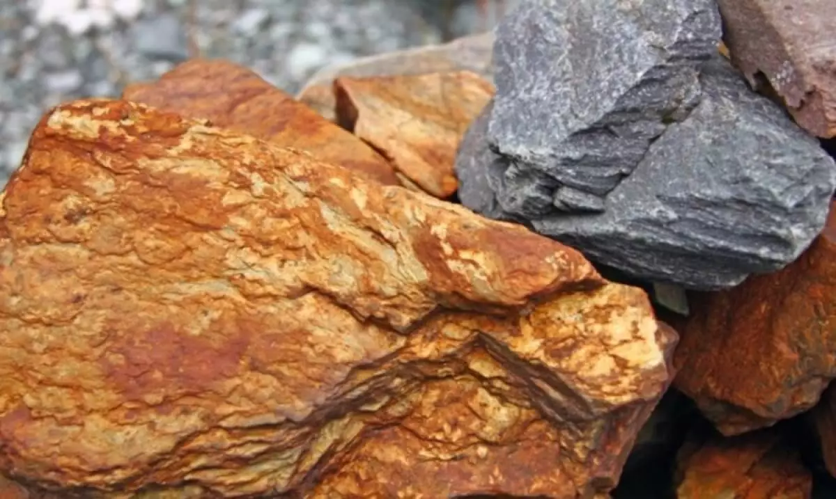 В Казахстане незаконно добыли руду на 122 млн тенге
