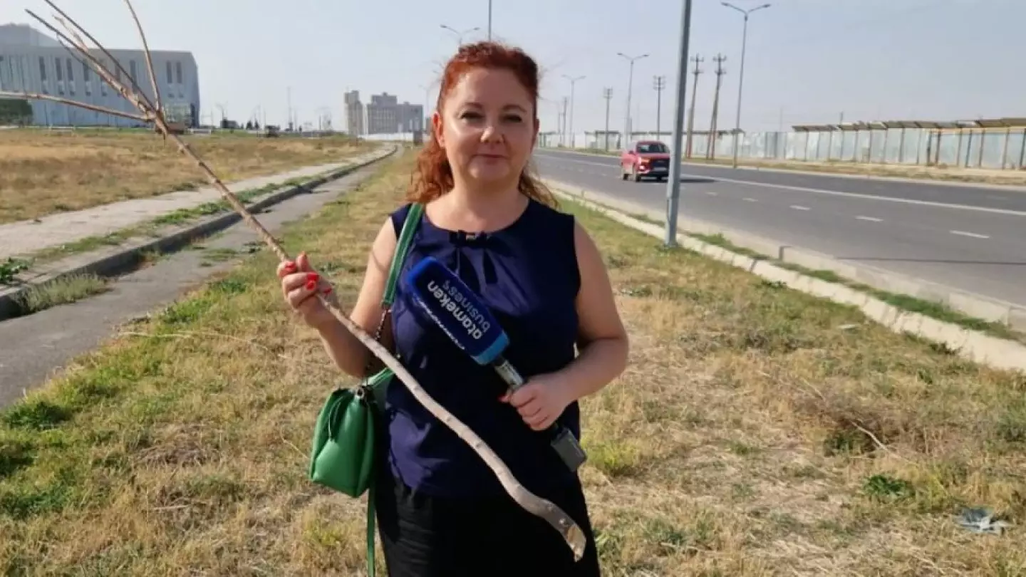 Депортация отменяется: шымкентскую журналистку Марину Низовкину хотели выдворить из страны