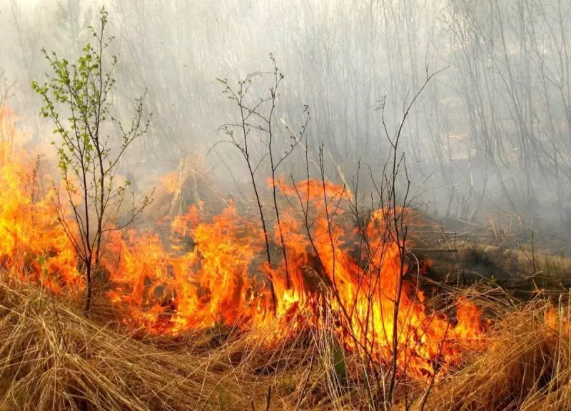 Пожарная опасность сохраняется в некоторых регионах Казахстана