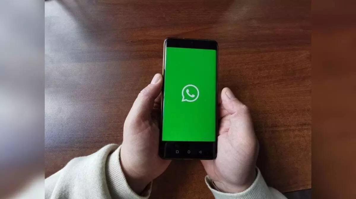 Тысячу участников WhatsApp-чата спасли от мошенников в СКО