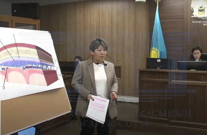 Кусаинова: Бишимбаев не должен отвечать за весь «старый Казахстан»