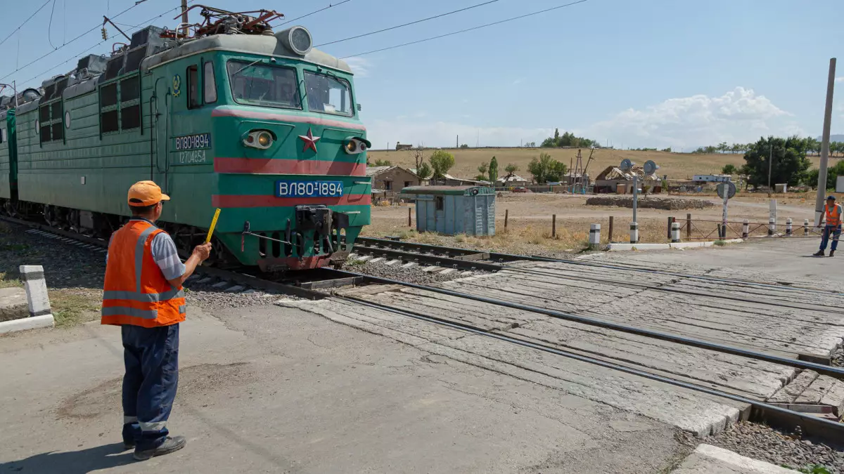 11 коз попали под поезд в Кызылординской области