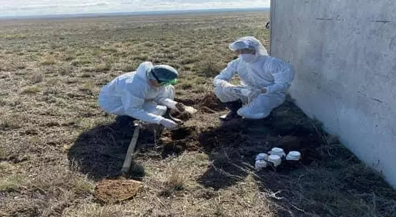 14 захоронений сибирской язвы оказались в зонах подтопления в Костанайской области