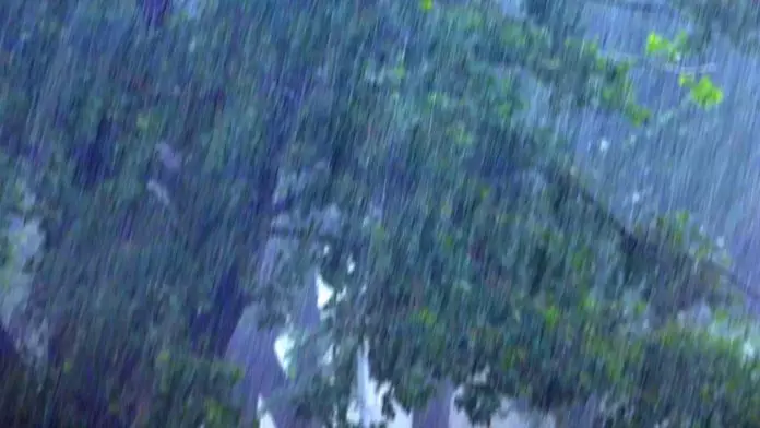 Сильный дождь ожидается в Шымкенте