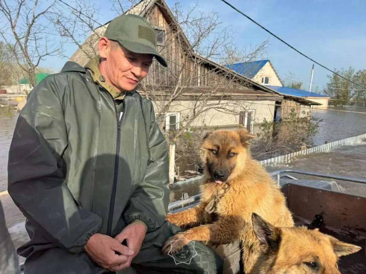 Пострадавшим от паводков казахстанцам продлили сроки сдачи налогов