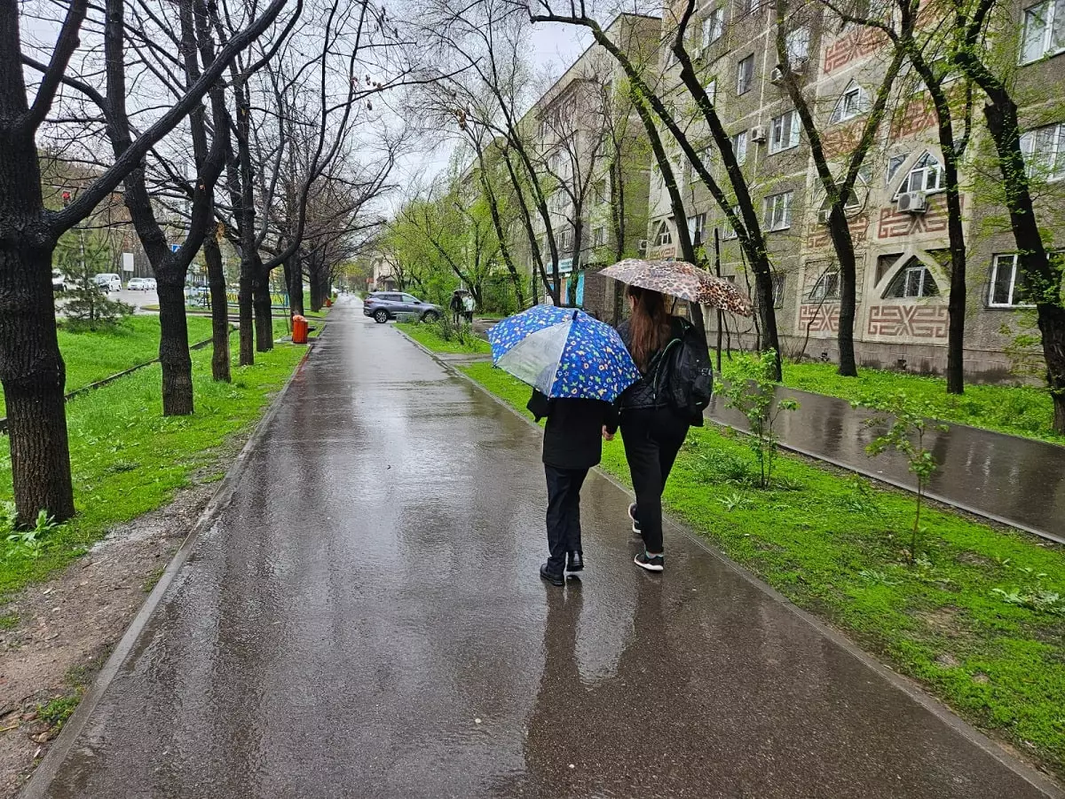 Как коммунальные службы борются с непогодой в Алматы