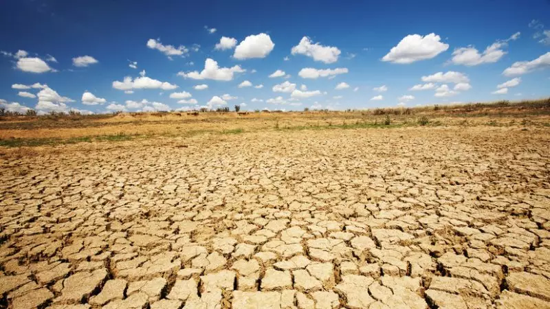Засуха ожидается в трёх областях Казахстана
