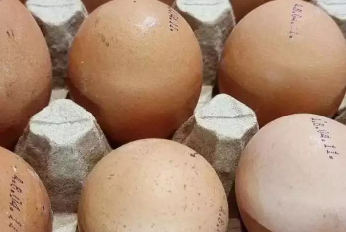 Никогда не делайте это с грязными яйцами, перед тем как их сварить — особенно опасно для пожилых