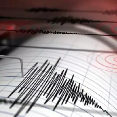 В Алматинской области ощутили землетрясение силой 2 балла