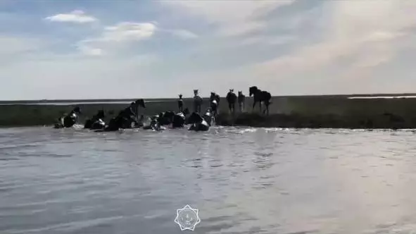 Табун тонущих в реке лошадей спасли в Атырауской области