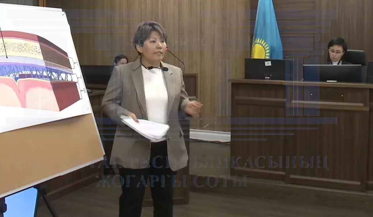 Полгода очерняют семью: адвокаты Бишимбаева собираются судиться со СМИ